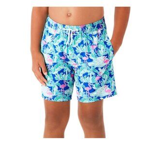 Boys Resort Swim Trunks With Built-In Liner By Member’s Mark 2T Flamingo Theme
